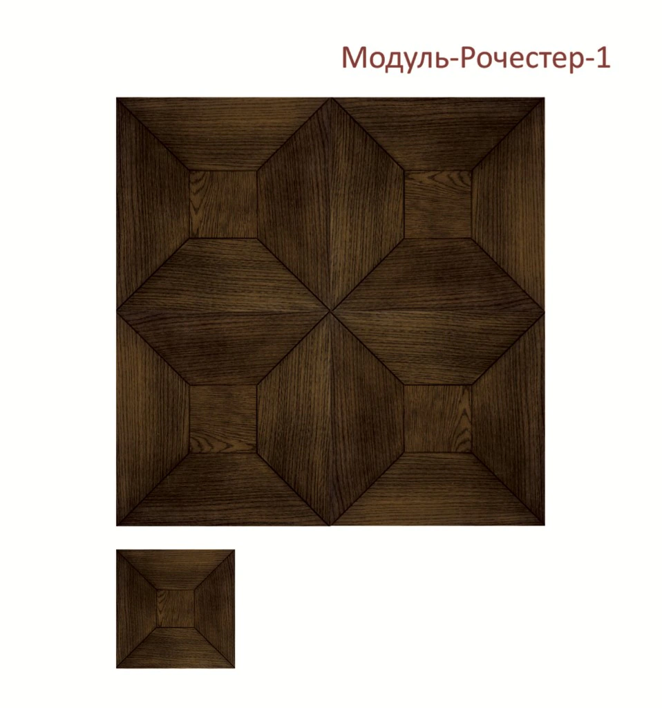 Модуль-Рочестер-1