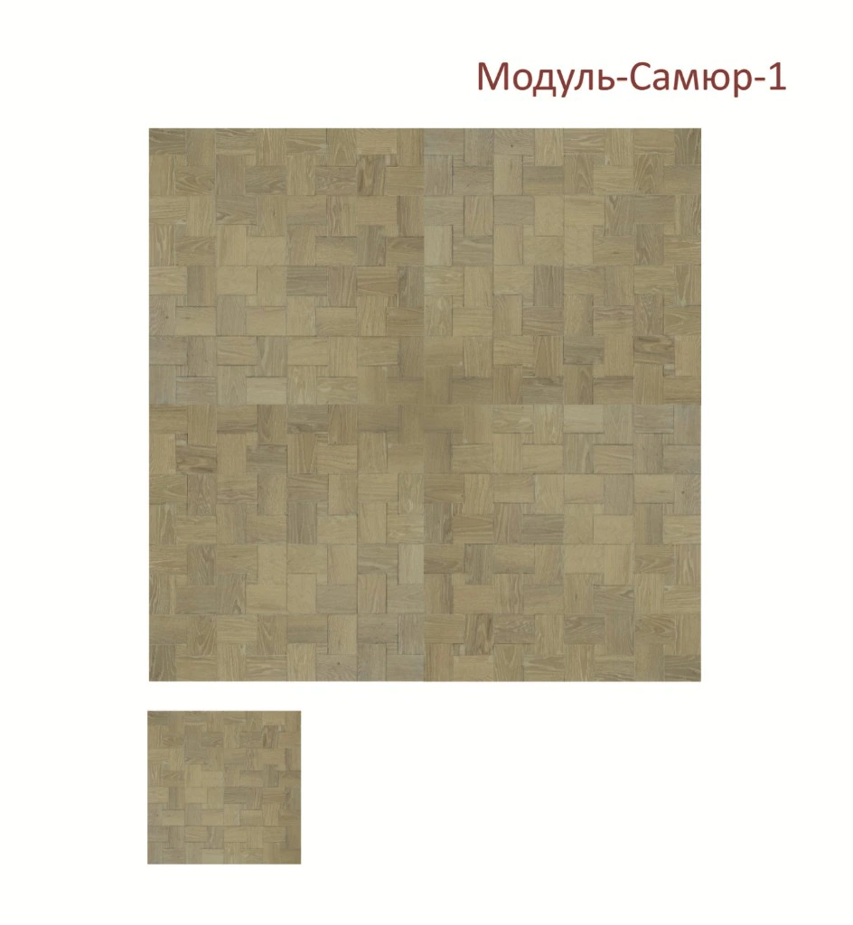 Модуль-Самюр-1