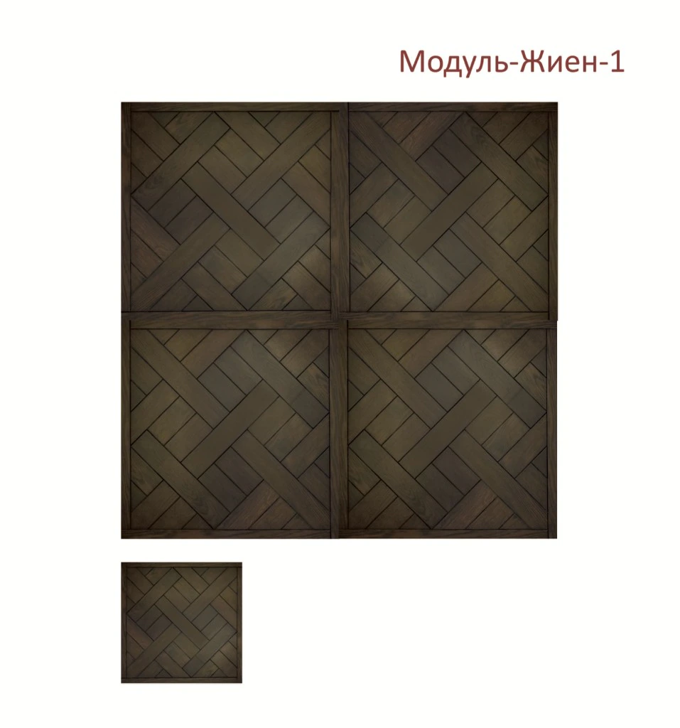Модуль-Жиен-1